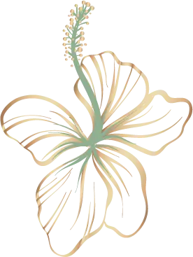 Illustration Fleur d'Hibiscus Web Design Oléo-Sine cosmétiques et compléments alimentaires Bio et éthiques